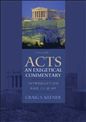 Acts: An Exegetical Commentary: Volume 1 (Introduction and 1:1-2:47)
