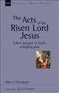 The Acts of the Risen Lord Jesus: Luke's Account of God's Unfolding Plan