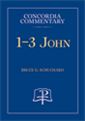 1-3 John