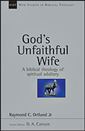 God's Unfaithful Wife: A Biblical Theology of Spiritual Adultery
