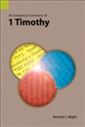 An Exegetical Summary of 1 Timothy