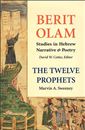 The Twelve Prophets: Vol 2: Micah, Nahum, Habakkuk, Zephaniah, Haggai, Zechariah, Malachi : Studies in Hebrew Narrative & Poetry