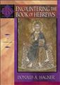 Encountering the Book of Hebrews: An Exposition