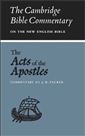 The Acts of the Apostles