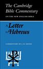 A Letter to Hebrews