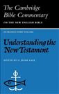 Understanding the New Testament 