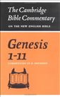 Genesis 1-11