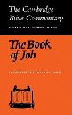 The Book of Job 