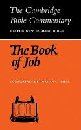 The Book of Job 
