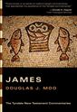James: An Introduction and Commentary