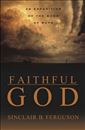 Faithful God: An Exposition of the Book of Ruth