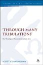 Through Many Tribulations: The Theology of Persecution in Luke-Acts