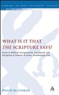What is it that the Scripture Says? Essays in Biblical Interpretation, Translation, and Reception in Honour of Henry Wansbrough OSB