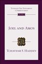 Joel and Amos: An Introduction and Commentary