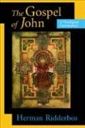 The Gospel of John: A Theological Commentary