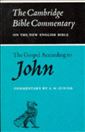 The Gospel According to John