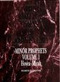 Minor Prophets: Volume 1 Hosea - Micah