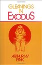 Gleanings in Exodus