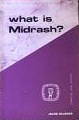 What Is Midrash? (Guides to Biblical Scholarship New Testament Series)
