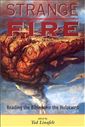 Strange Fire: Reading the Bible after the Holocaust