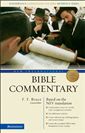 New International Bible Commentary