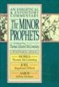 The Minor Prophets: An Exegetical and Expository Commentary : Hosea, Joel, and Amos 