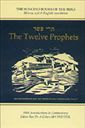 Twelve Prophets: Hebrew Text, English Translation and Commentary