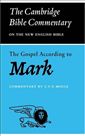 The Gospel according to Mark 