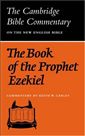 The Book of the Prophet Ezekiel 