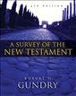 Survey of the New Testament, A 