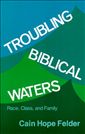 Troubling Biblical Waters: Race, Class, and Family (Bishop Henry Mcneal Turner Studies in North American Black Religion, Vol 3)